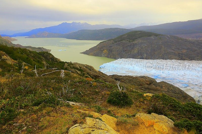 湖上，冰川灰色全景 - Torres Del Paine，巴塔哥尼亚